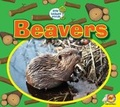 Cover: Beavers - Av2