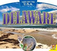 Enlarge image Cover: Delaware - Av2 by Weigl