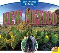 Cover: New Mexico - Av2 by Weigl