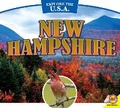 Cover: New Hampshire - Av2 by Weigl
