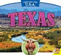 Cover: Texas - Av2 by Weigl