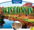 Cover: Wisconsin - Av2 by Weigl