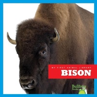 Enlarge image Cover: Bison - Pogo Books