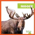 Cover: Moose - Pogo Books