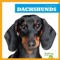 Cover: Dachshunds - Bullfrog Books
