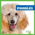 Cover: Poodles - Bullfrog Books