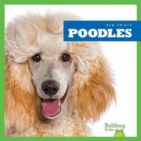 Enlarge image Cover: Poodles - Bullfrog Books