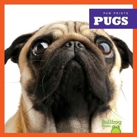 Enlarge image Cover: Pugs - Bullfrog Books