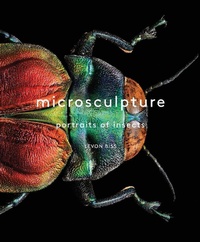 Abbildung von: Microsculpture - Abrams