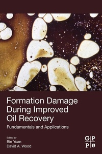 Enlarge image Cover: Formation Damage during Improved Oil Recovery - Gulf Professional Publishing