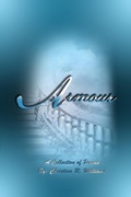 Cover: Armour - Superi, LLC.