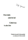 Cover: Cuibul meu &icirc;n parul tau - epubli