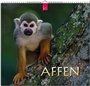Cover: AFFEN - Stürtz
