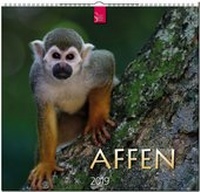 Enlarge image Cover: AFFEN - Stürtz