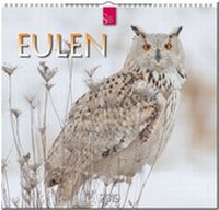 Enlarge image Cover: EULEN - Stürtz