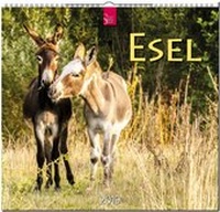 Abbildung von: ESEL - Stürtz