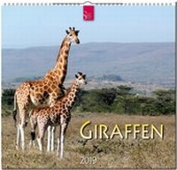 Abbildung von: GIRAFFEN - Stürtz