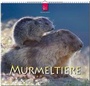 Cover: MURMELTIERE - Stürtz