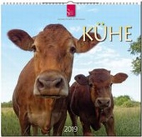 Abbildung von: KÜHE - Stürtz