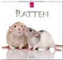 Cover: RATTEN - Stürtz