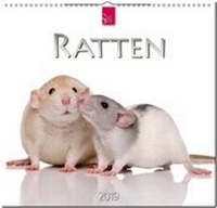 Enlarge image Cover: RATTEN - Stürtz