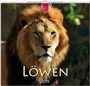 Cover: Löwen - Stürtz