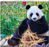 Abbildung von: PANDAS - Stürtz