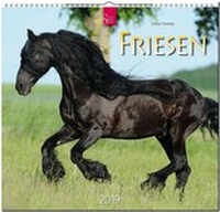 Abbildung von: FRIESEN - Stürtz