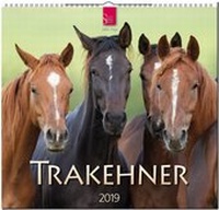 Abbildung von: TRAKEHNER - Stürtz