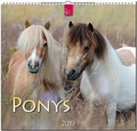 Abbildung von: PONYS - Stürtz