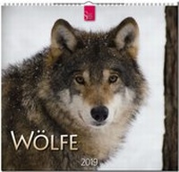 Enlarge image Cover: WÖLFE - Stürtz