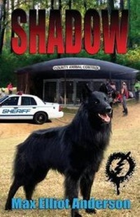 Enlarge image Cover: Shadow - Tbcn Inc.