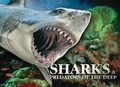 Cover: Sharks & Predators of the Deep - Amber Books