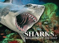Enlarge image Cover: Sharks & Predators of the Deep - Amber Books