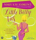 Cover: Little Bitty Lies CD - Collins