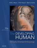 Bild: The Developing Human - E-Book - Saunders