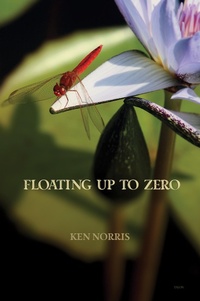 Enlarge image Cover: Floating Up to Zero - Talonbooks