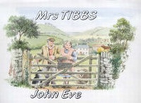 Enlarge image Cover: Mrs. Tibbs - Tabb House