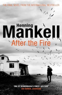 Abbildung von: After the Fire - Vintage Books