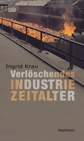 Cover: Verl&ouml;schendes Industriezeitalter - Wallstein