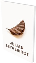 Cover: Julian Lethbridge - Snoeck