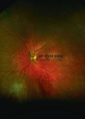 Cover: Up-river Book - peperoni books