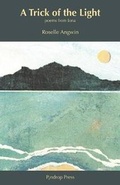 Cover: A Trick of the Light - Pindrop Press