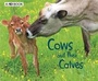 Cover: Cows and Their Calves - Raintree