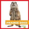 Cover: Prairie Dogs - Pogo Books