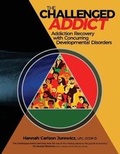 Cover: The Challenged Addict - Bick Publishing House