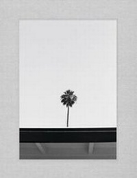 Enlarge image Cover: Palm - FRANCIS