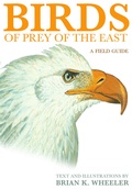 Cover: Birds of Prey of the East - Princeton University Press