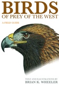 Cover: Birds of Prey of the West - Princeton University Press