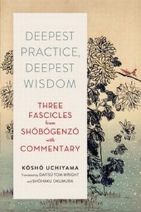Abbildung von: Deepest Practice, Deepest Wisdom - Wisdom Publications